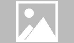 动漫女,梦幻世界中的青春风采